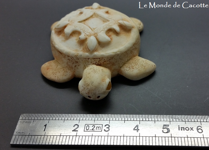 Ref tortue012 taille largeur