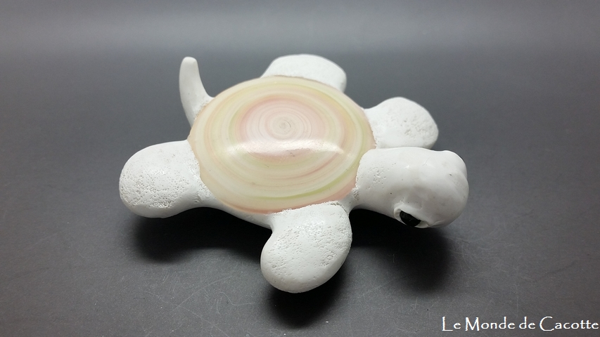 Ref tortue015 vue cote droit