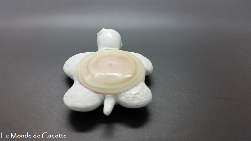 Ref tortue019 vue dos