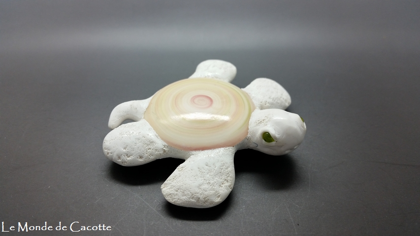 Ref tortue020 vue cote droit
