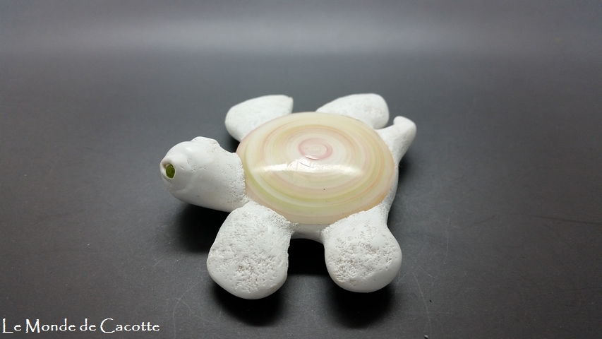 Ref tortue020 vue cote gauche