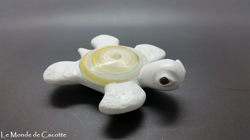 Ref tortue021 vue cote droit